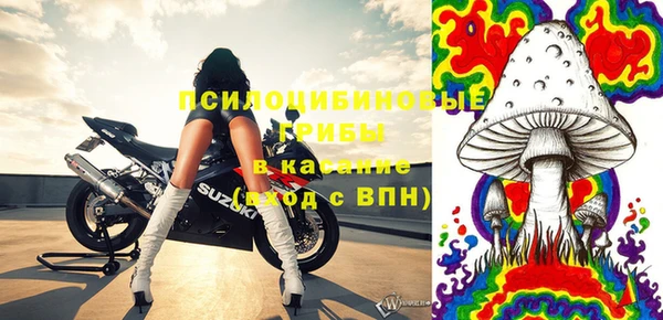 PSILOCYBIN Армянск
